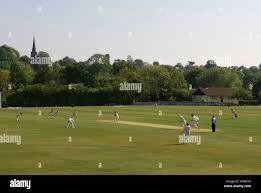 Image result for Wimbledon Cricket Club