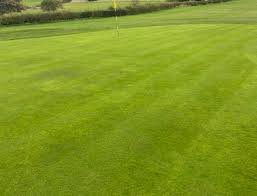Image result for Old Colwyn Golf Club