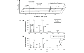 Attēlu rezultāti vaicājumam “Heterobasidion parviporum”