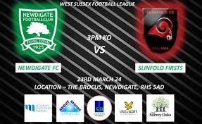 Image result for Newdigate F C
