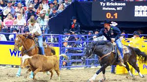 Image result for Wellington Whirlwinds Tc