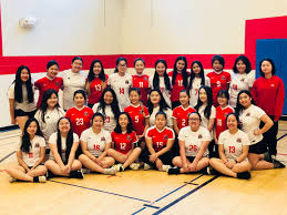 Image result for Higman (Tv) Badminton Academy Badminton Club