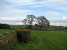 Footpath near Trustee Wood. Following a footpath through fields north of - via Daymix
