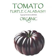 Afbeeldingsresultaat voor purple calabash tomato