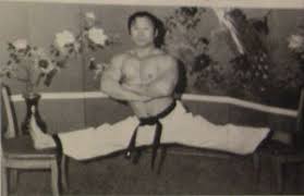 Image result for Kidderminster Tae Kwon Do Tigers