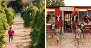 Image result for Justice Mowers Club