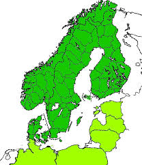 Attēlu rezultāti vaicājumam “Enochrus affinis”