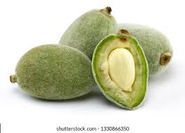 Image result for fresh green almonds