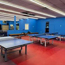 Image result for Brook Table Tennis Club