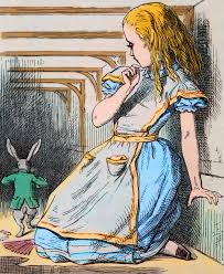 Image result for alice in wonderland rabbit