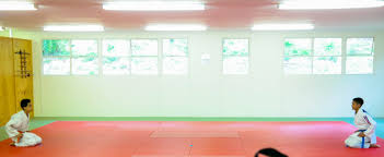 Image result for Plumstead Judo Club