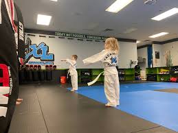 Image result for IXL Martial Arts