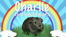 Charlie the Drunk Guinea Pig (character) - Wikitubia