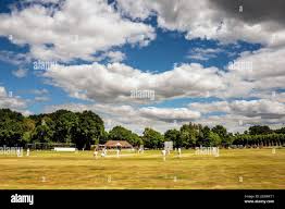 Image result for Henfield Cricket Club