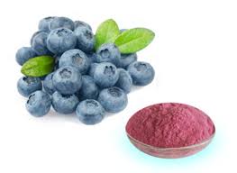 Attēlu rezultāti vaicājumam “Vaccinium myrtillus fruit”