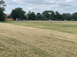 Image result for Bowmen Of Burleigh