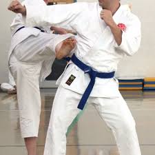Image result for Excalibur Shotokan Karate Club