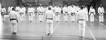 Image result for Thatcham Wado Karate Club