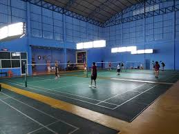 Image result for Plains Badminton Club