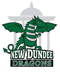 Image result for Dundee Dragons