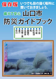 Image result for 高潮 津波 別物