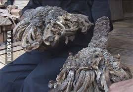 Image result for Lewandowsky-Lutz