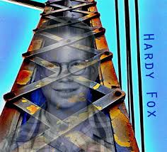 Attēlu rezultāti vaicājumam “Didymium minus young”