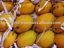 Alphonso Mango Fruit products, buy Alphonso Mango Fruit products ...