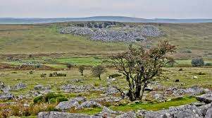 Image result for bodmin moor