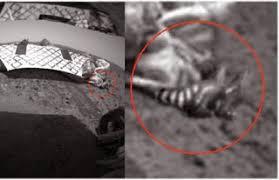 Image result for mars anomalies