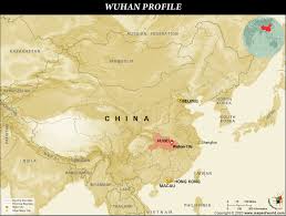 「VHAPUNI　MAO」の画像検索結果