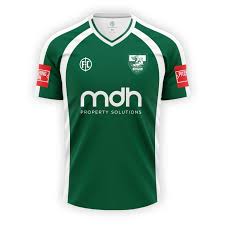 Image result for Leatherhead Football Club