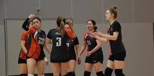 Image result for Cheltenham Cobras Volleyball Club