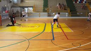 Image result for Halifax Roller Hockey Club