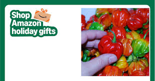 Afbeeldingsresultaat voor aji dulce sweet pepper