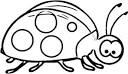 Ladybug coloring page