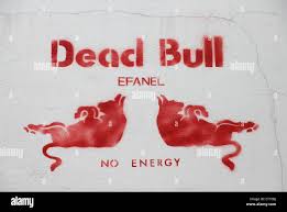 Image result for red bull logo