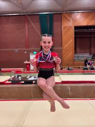 Image result for Tamworth Olympic Gymnastics Club