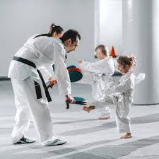 Image result for Quest Taekwondo