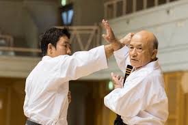 Image result for Zen Shin Seicho Do Adult Karate