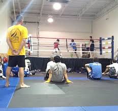 Image result for Muay Thai Clubs