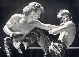 Image result for United Dojos Kickboxing