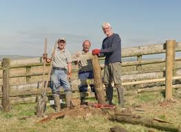 Image result for England Staffordshire Birding Club