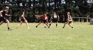 Image result for Skirlaugh Amateur Rugby League Football Club
