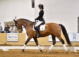 Image result for Stoneleigh Riding Club