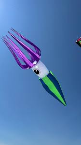 Image result for Poole Kite Fliers