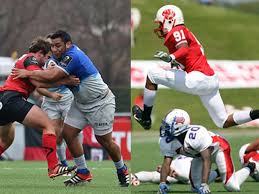 Image result for Cardiff Cobras
