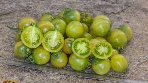 Afbeeldingsresultaat voor grubbs mystery green tomato