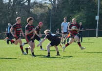 Image result for Haslemere Community Rugby Club