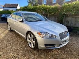 Image result for Silver Fox 2008 Jaguar